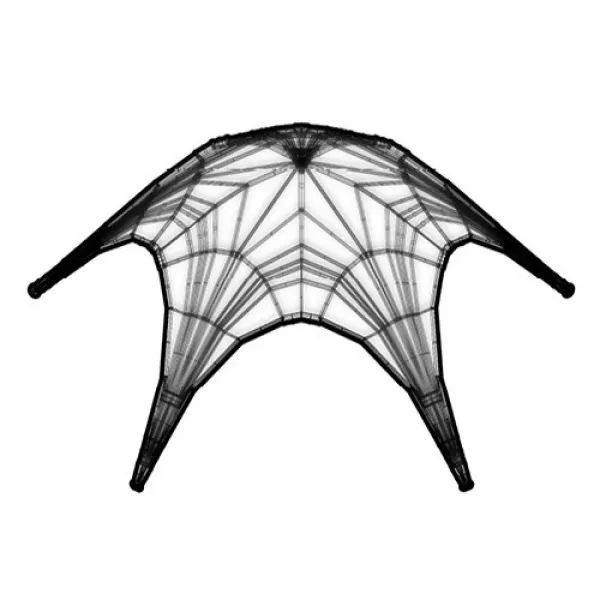 Digital Structures