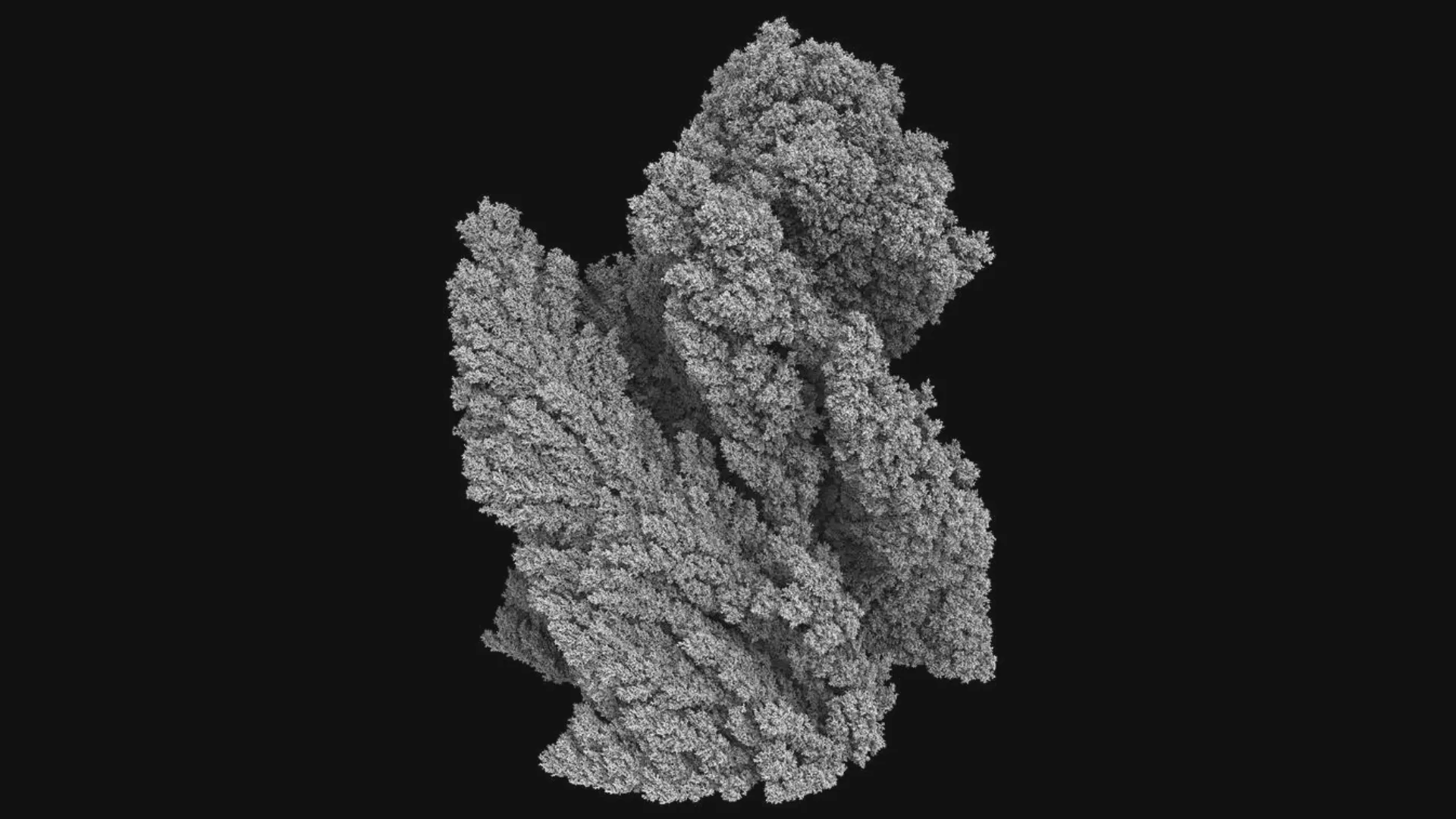 Serie of studies "Aggregation - Complexity out of Simplicity" ©Andy Lomas.