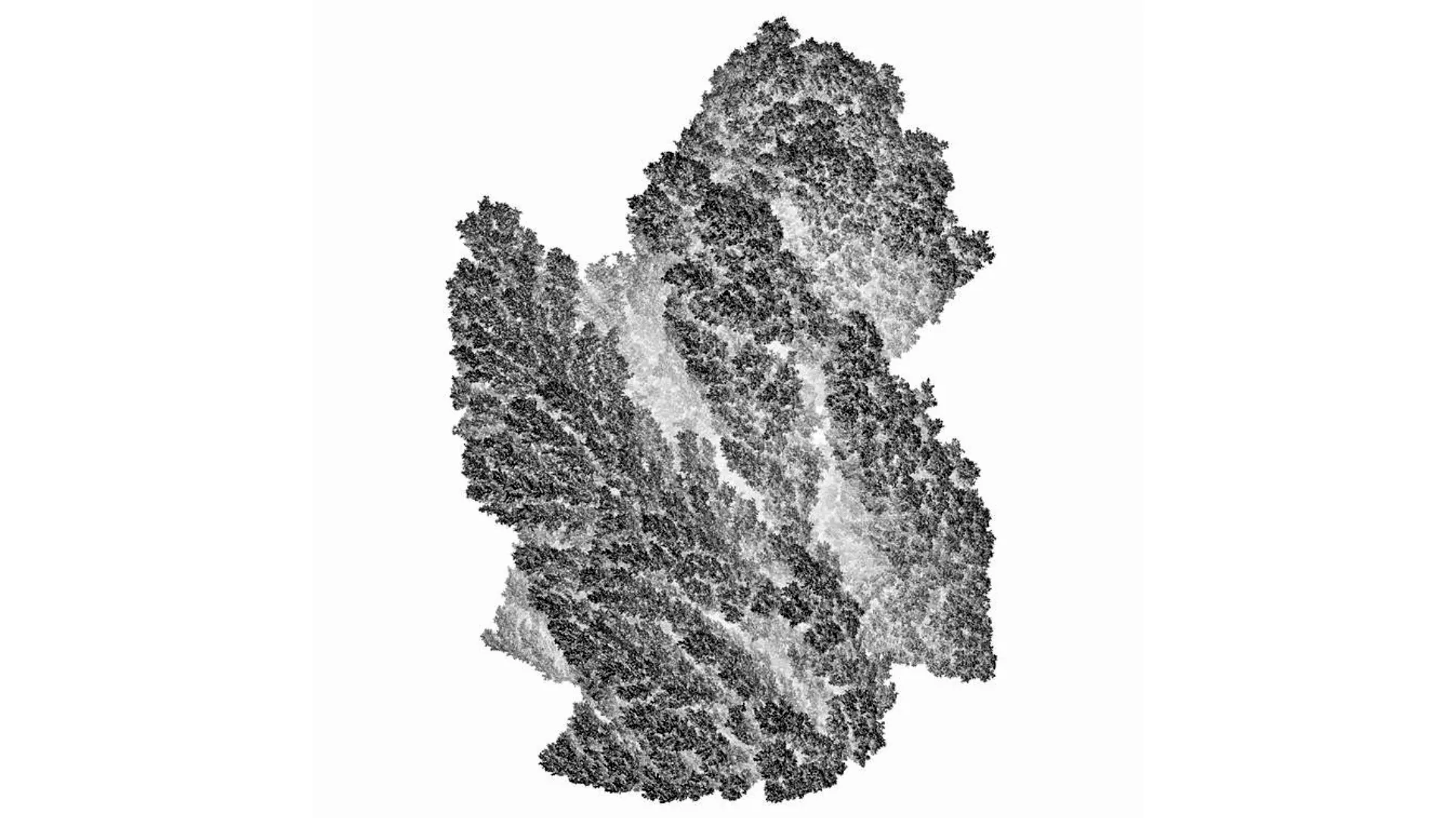 Serie of studies "Aggregation - Complexity out of Simplicity" ©Andy Lomas.