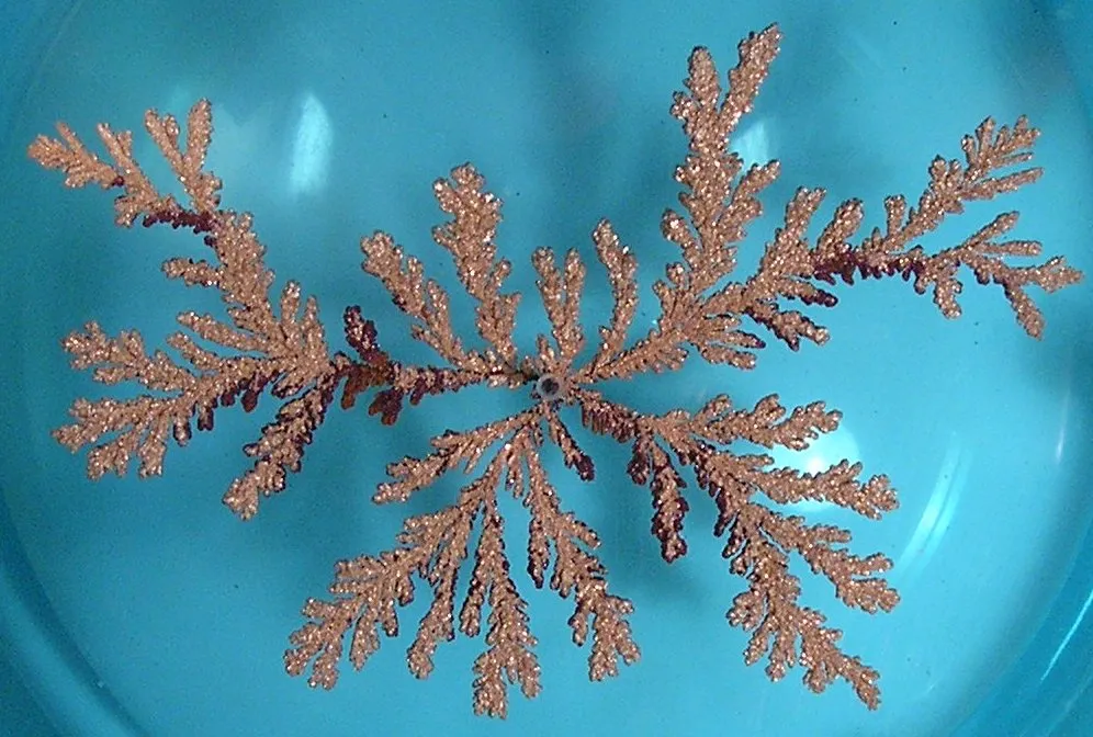 Diffusion-limited aggregation - Wikipedia