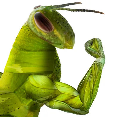FlexHopper