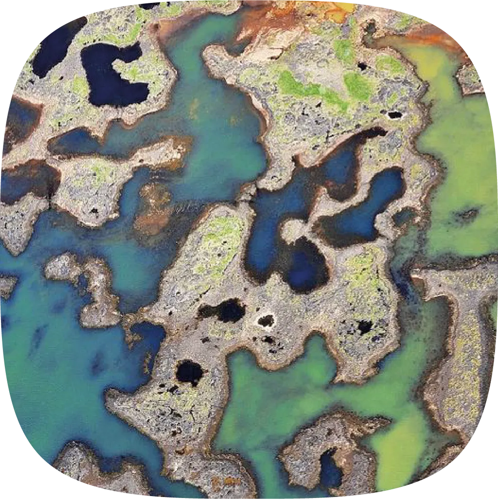 tundra
