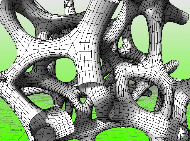 Skeletal mesh